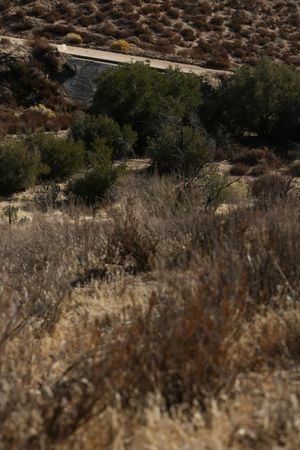 Hot teens have pussy licking fun in the desert - Photo 262