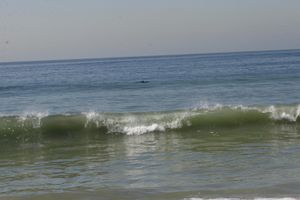 Blonde Teen Friends Unwind After The Beach - Photo 146