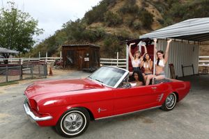 A road trip turns into teen interracial lesbian group sex - Photo 775