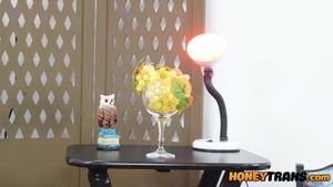 Tall Thick Trans-Fernanda Moraes Toy Anal and Masturbation - Photo 54