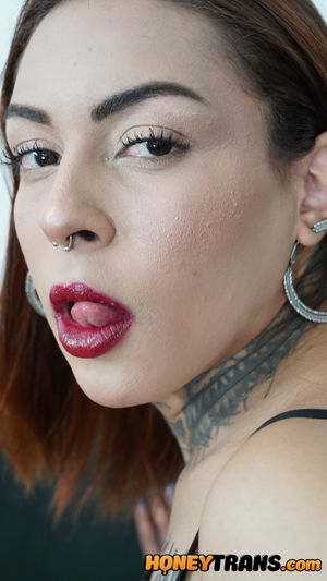 Lingerie Latina Trans Babes Take It Up Their Ass - Photo 115