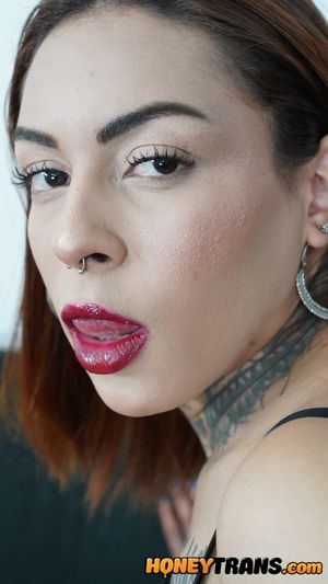 Lingerie Latina Trans Babes Take It Up Their Ass - Photo 116