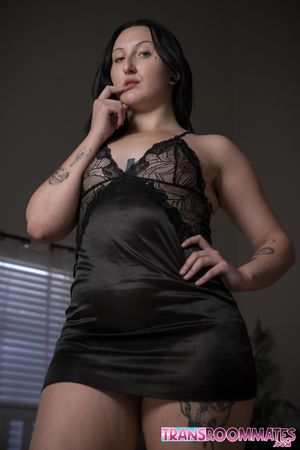 Horny Trans Eryn Everly Bangs PAWG Raven Vice - Photo 144