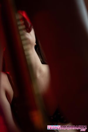 Trans Strippers Go Bareback In The Back Room - Photo 566