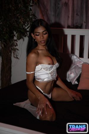 Trans Starlet Chanel Chance Gets Hard Taking Big Cock - Photo 105