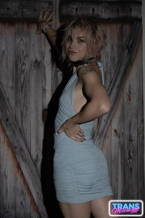 Dream Divyne, a gorgeous blonde trans, seduces a lucky guy with her alluring dick, leading to intense anal pleasure and a hot finish - Photo 1