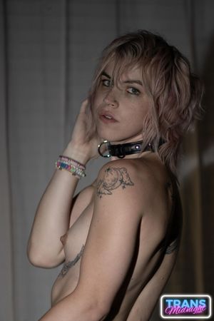 Dream Divyne, a gorgeous blonde trans, seduces a lucky guy with her alluring dick, leading to intense anal pleasure and a hot finish - Photo 111