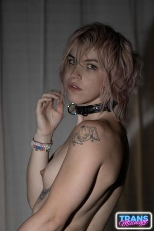 Dream Divyne, a gorgeous blonde trans, seduces a lucky guy with her alluring dick, leading to intense anal pleasure and a hot finish - Photo 112