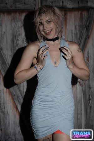 Dream Divyne, a gorgeous blonde trans, seduces a lucky guy with her alluring dick, leading to intense anal pleasure and a hot finish - Photo 18