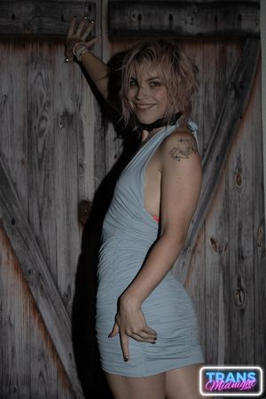 Dream Divyne, a gorgeous blonde trans, seduces a lucky guy with her alluring dick, leading to intense anal pleasure and a hot finish - Photo 3