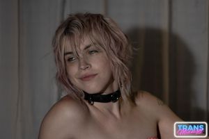 Dream Divyne, a gorgeous blonde trans, seduces a lucky guy with her alluring dick, leading to intense anal pleasure and a hot finish - Photo 59