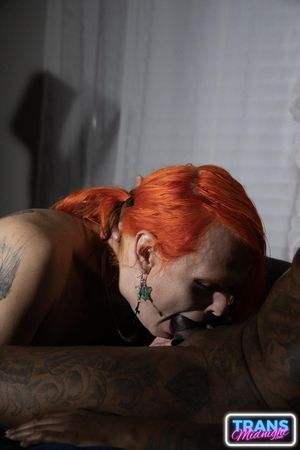 Transsexual goddess worships his black cock while he drills her ass raw - Photo 187