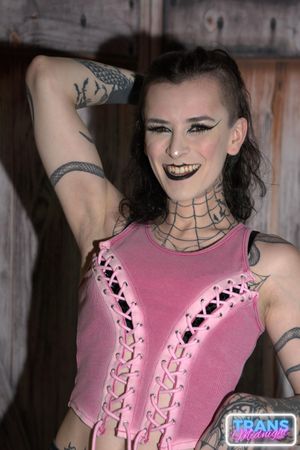 Viviana Rose, the transgender star, takes a big cock deep in her throat and ass - Photo 26