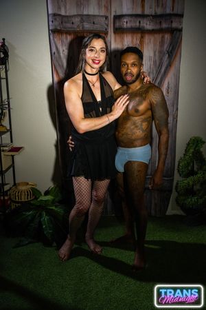 Riley Parker and Her Black Lover Share a Passionate Night - Photo 143